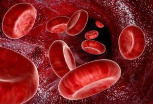 blood