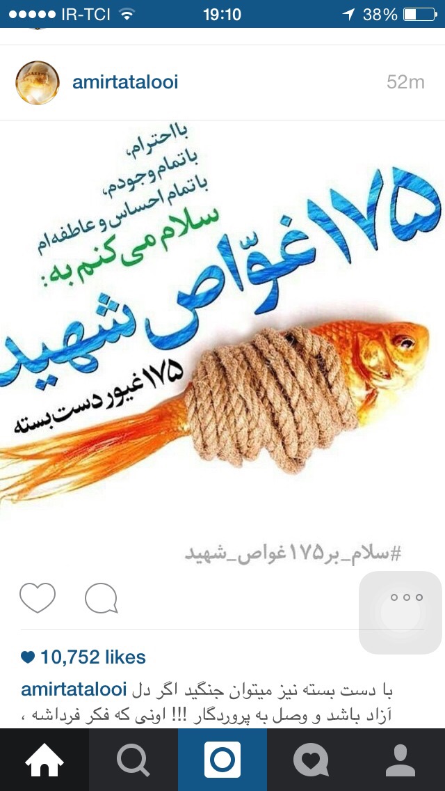 A collection of posters in memorial of 175  Iranian martyr divers (12)