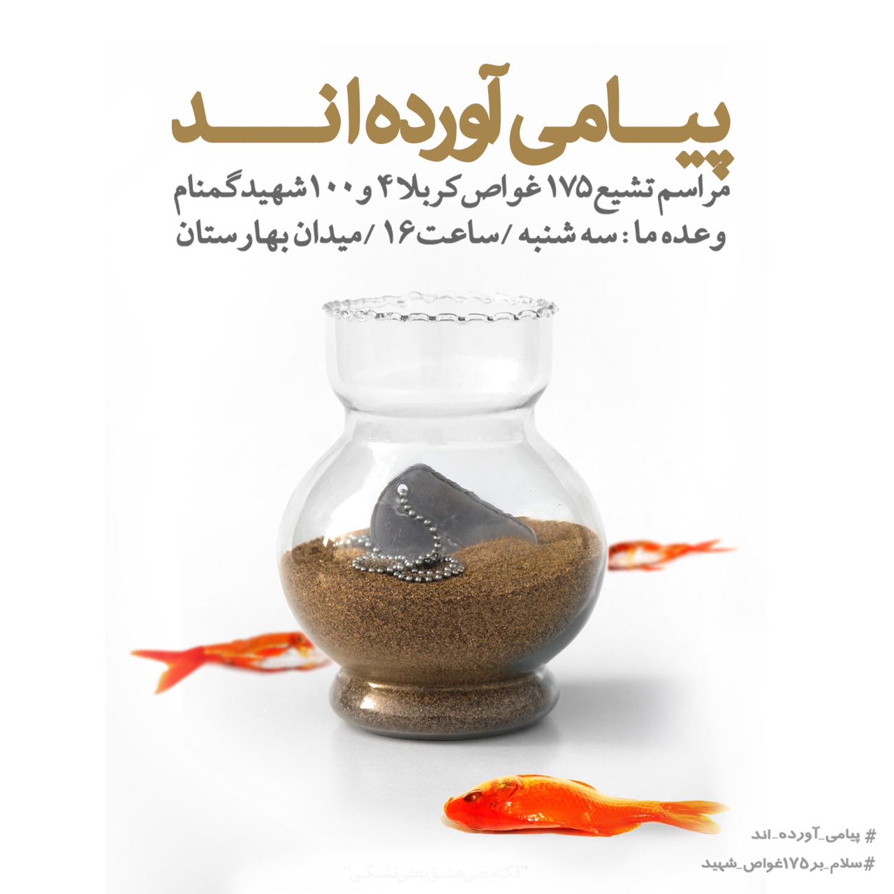A collection of posters in memorial of 175  Iranian martyr divers (14)