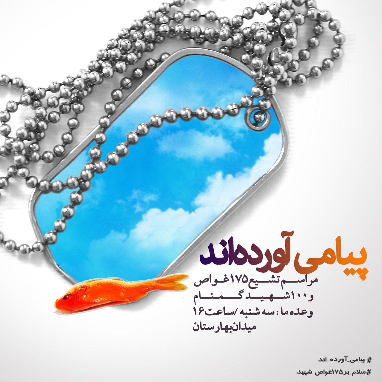 A collection of posters in memorial of 175  Iranian martyr divers (17)