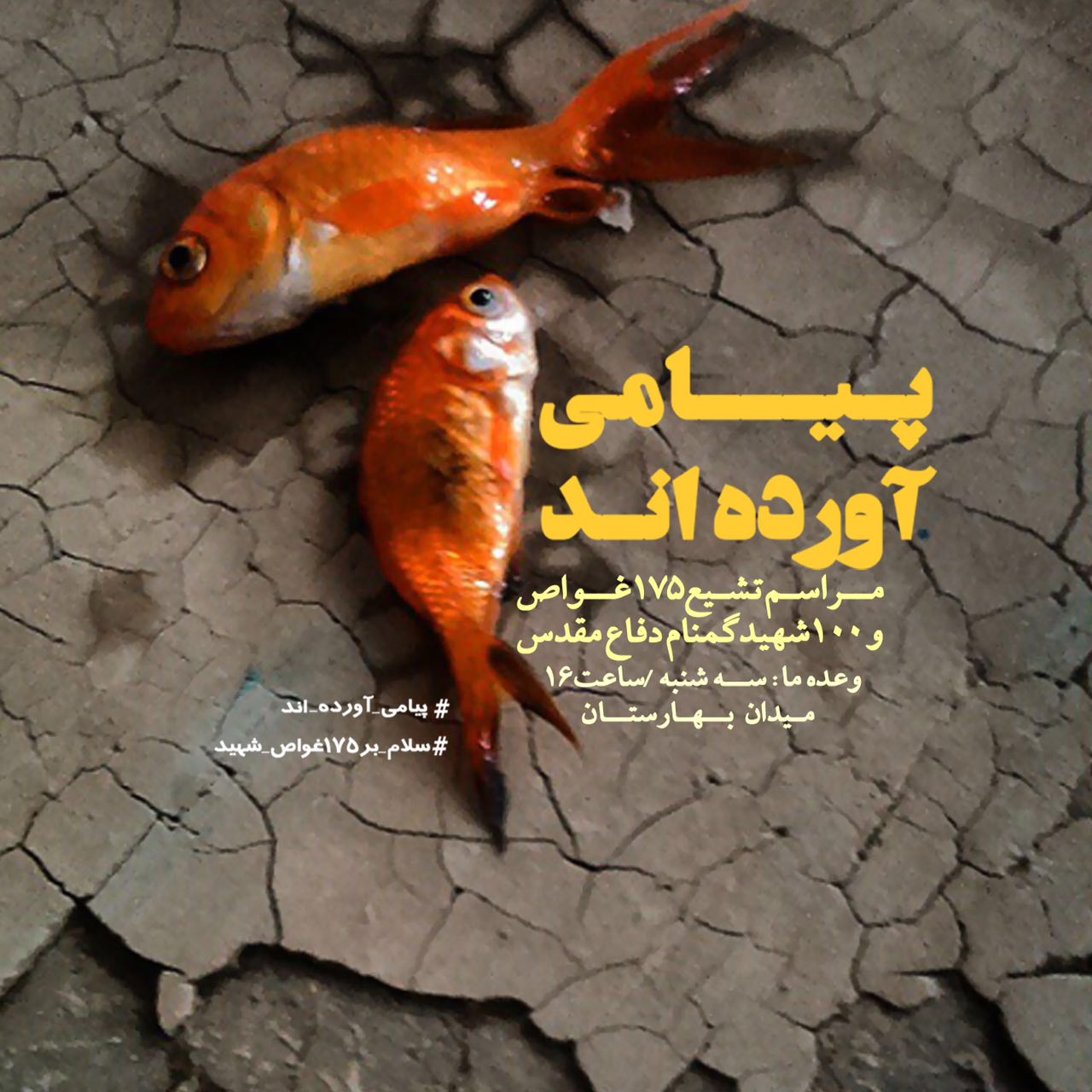 A collection of posters in memorial of 175  Iranian martyr divers (19)