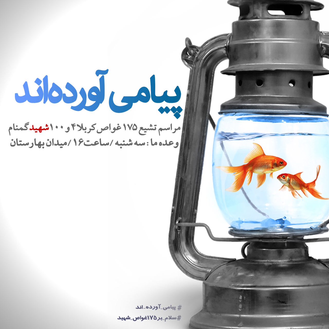 A collection of posters in memorial of 175  Iranian martyr divers (23)