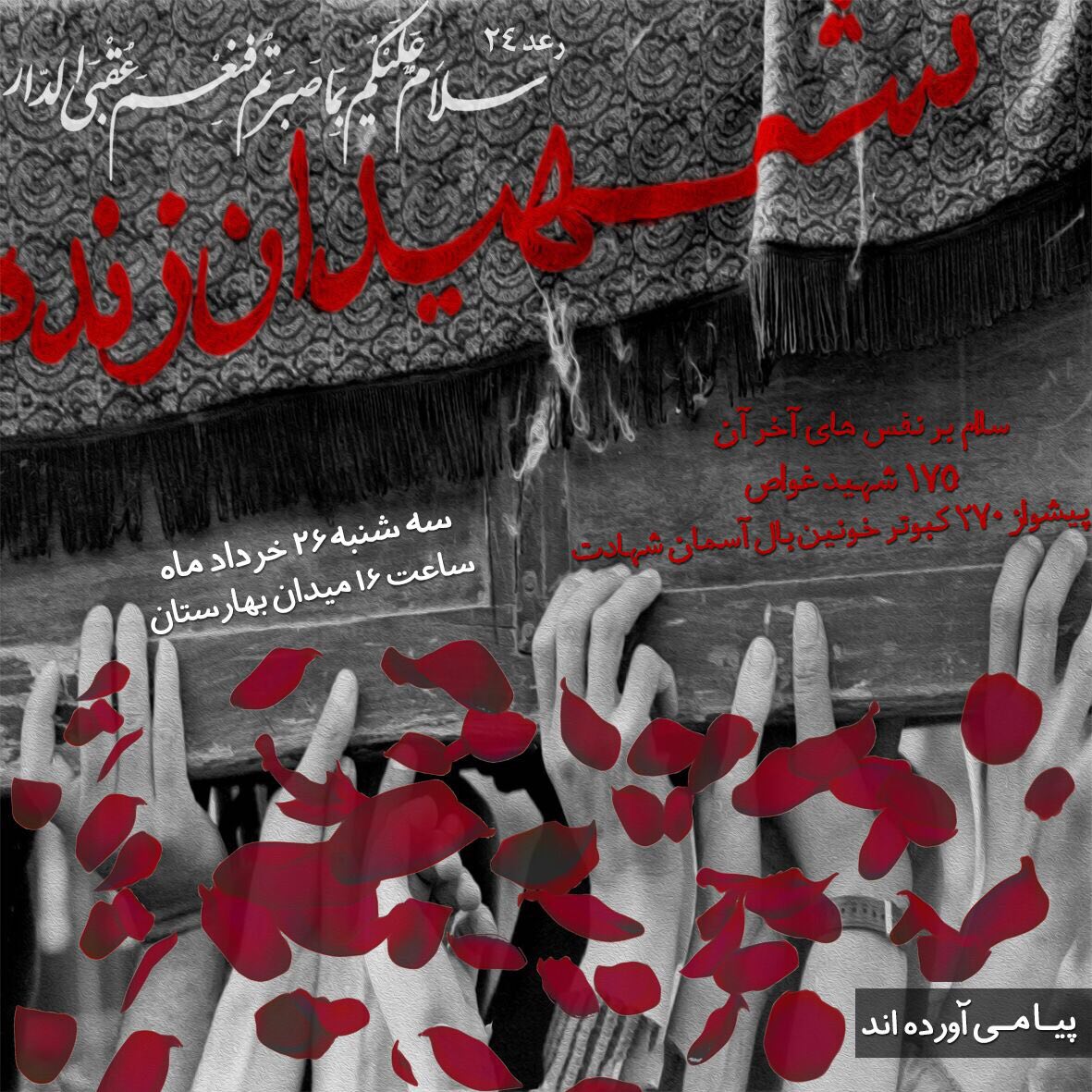 A collection of posters in memorial of 175  Iranian martyr divers (31)